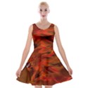 Fire Lion Flame Light Mystical Velvet Skater Dress View1