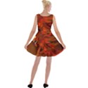 Fire Lion Flame Light Mystical Velvet Skater Dress View2