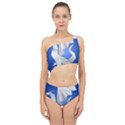 Origami Dragon Spliced Up Two Piece Swimsuit View1