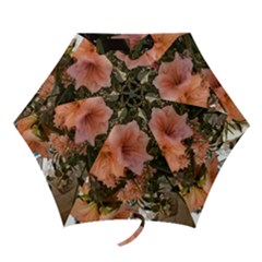 20181209 181459 Mini Folding Umbrellas by 45678