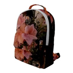 20181209 181459 Flap Pocket Backpack (large) by 45678