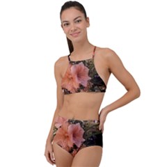 20181209 181459 High Waist Tankini Set