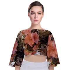 20181209 181459 Tie Back Butterfly Sleeve Chiffon Top by 45678