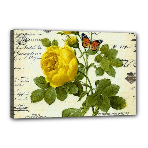 Yellow Roses Canvas 18  X 12  (stretched) by ibelieveimages