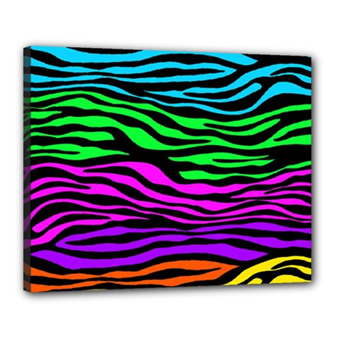 Colorful Zebra Canvas 20  X 16  (stretched) by Angelandspot