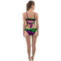 Colorful Zebra Wrap Around Bikini Set View2