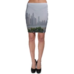 P1020023 Bodycon Skirt by 45678