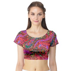 Abstract Art Multicolored Pattern Short Sleeve Crop Top by SpinnyChairDesigns