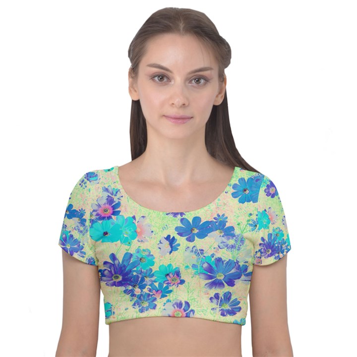 Cosmos Flowers blue Velvet Short Sleeve Crop Top 