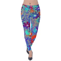 Cosmos Flowers Blue Red Velvet Leggings