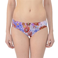 Cosmos Flowers Brown Hipster Bikini Bottoms by DinkovaArt