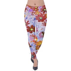 Cosmos Flowers Brown Velvet Leggings