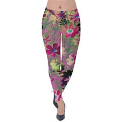 Cosmos Flowers Dark Red Velvet Leggings by DinkovaArt