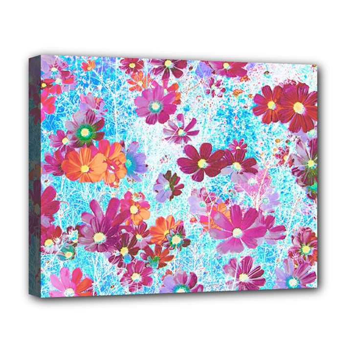 Cosmos Flowers Deluxe Canvas 20  x 16  (Stretched)