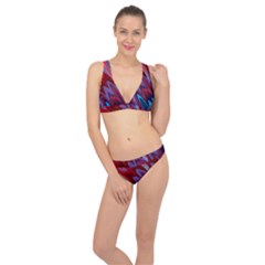 Red Blue Zig Zag Waves Pattern Classic Banded Bikini Set 