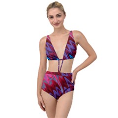 Red Blue Zig Zag Waves Pattern Tied Up Two Piece Swimsuit