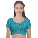 Aqua Blue Artsy Beaded Weave Pattern Velvet Short Sleeve Crop Top  View1