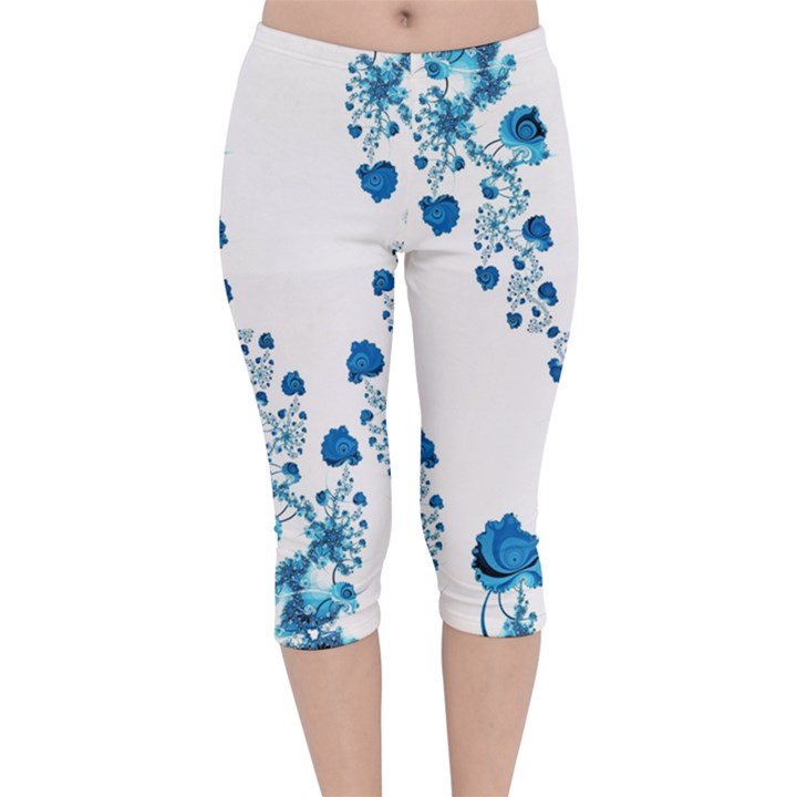 Abstract Blue Flowers on White Velvet Capri Leggings 