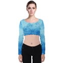 Abstract Sky Blue Texture Velvet Long Sleeve Crop Top View1