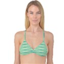 Light Green Turquoise Ikat Pattern Reversible Tri Bikini Top View1