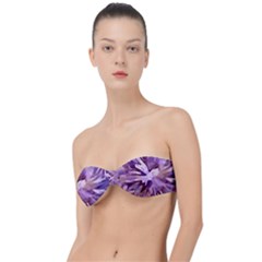 Plum Purple Abstract Floral Pattern Classic Bandeau Bikini Top  by SpinnyChairDesigns