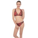 Scarlet Red Grey Brown Swirls Spirals Classic Banded Bikini Set  View1