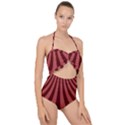 Vermilion Stripes Scallop Top Cut Out Swimsuit View1