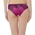 Fun Fuschia Hipster Bikini Bottoms View2