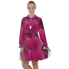 Fun Fuschia All Frills Chiffon Dress