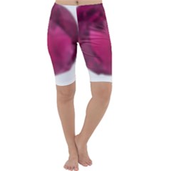 Fun Fuschia Cropped Leggings  by Janetaudreywilson