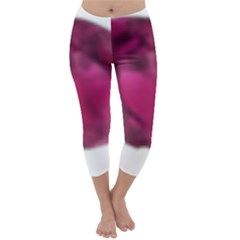 Fun Fuschia Capri Winter Leggings  by Janetaudreywilson