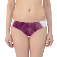 Fun Fuschia Hipster Bikini Bottoms by Janetaudreywilson