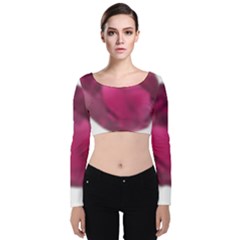 Fun Fuschia Velvet Long Sleeve Crop Top by Janetaudreywilson