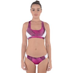 Fun Fuschia Cross Back Hipster Bikini Set by Janetaudreywilson