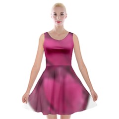 Fun Fuschia Velvet Skater Dress by Janetaudreywilson