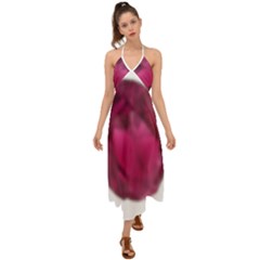 Fun Fuschia Halter Tie Back Dress  by Janetaudreywilson