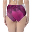 Fun Fuschia Classic High-Waist Bikini Bottoms View2