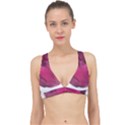 Fun Fuschia Classic Banded Bikini Top View1