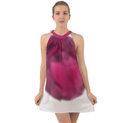 Fun Fuschia Halter Tie Back Chiffon Dress