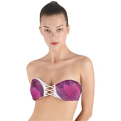 Fun Fuschia Twist Bandeau Bikini Top by Janetaudreywilson