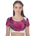 Fun Fuschia Velvet Short Sleeve Crop Top  View1