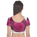 Fun Fuschia Velvet Short Sleeve Crop Top  View2