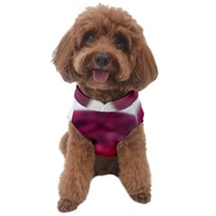 Fun Fuschia Dog Sweater