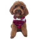 Fun Fuschia Dog Sweater View1