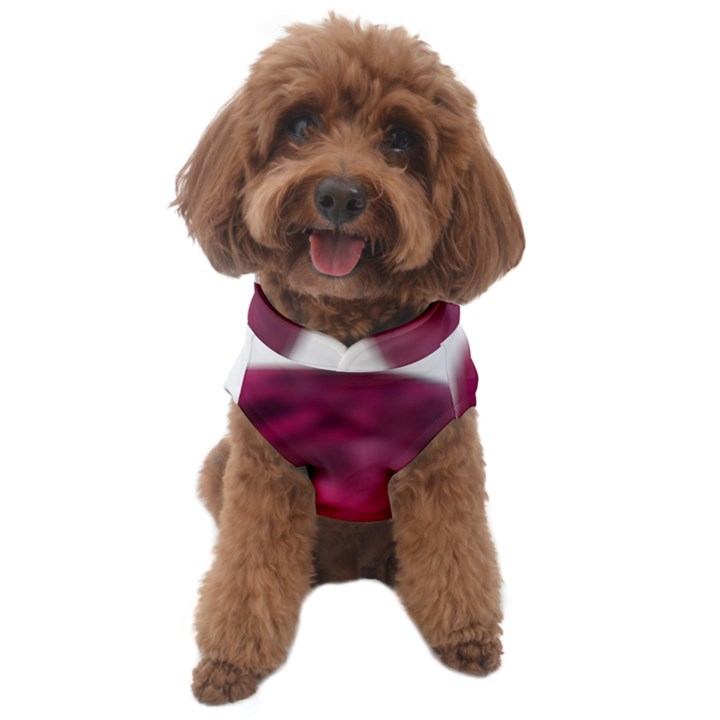 Fun Fuschia Dog Sweater