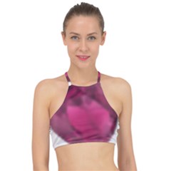 Fun Fuschia Racer Front Bikini Top by Janetaudreywilson