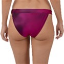 Fun Fuschia Band Bikini Bottom View2