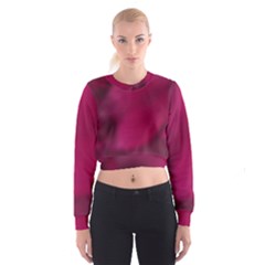 Fun Fuschia Cropped Sweatshirt by Janetaudreywilson