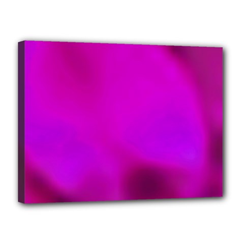 Fun Fuschia Canvas 16  X 12  (stretched) by Janetaudreywilson