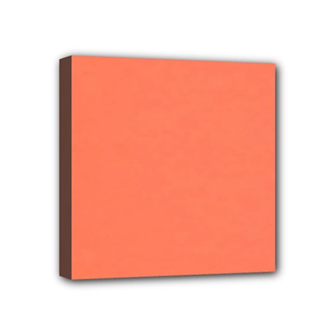 Appreciating Apricot Mini Canvas 4  X 4  (stretched) by Janetaudreywilson